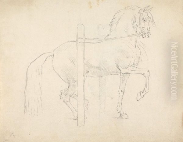 Le Piaffer, Dressage Position - view 1