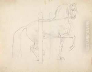 Le Piaffer, Dressage Position