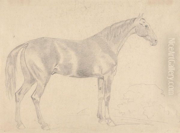 A Horse, Facing Right - view 1