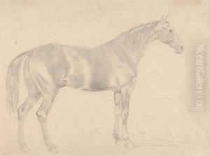A Horse, Facing Right by Sawrey Gilpin