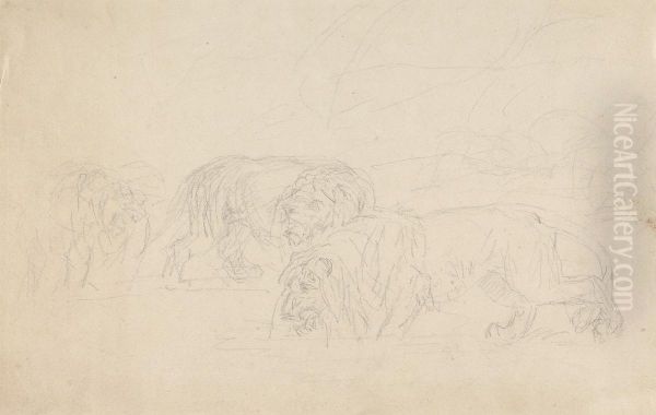 Three Lions, Prowling - view 1