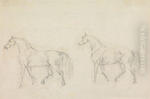 Two Horses Walking to Left Two Horses Walking to Left