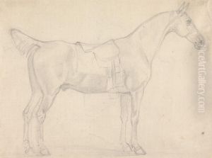 Saddled Horse, Facing Right Saddled Horse, Facing Right