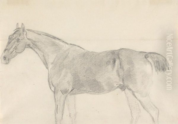 A Horse, Facing Left - view 1