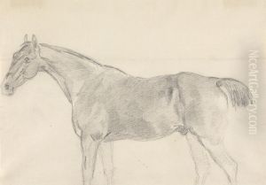 A Horse, Facing Left by Sawrey Gilpin
