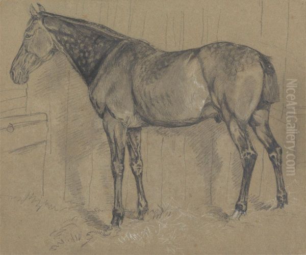 A Dappled Horse in a Stable - view 1
