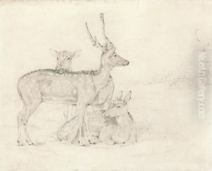 A Herd of Deer Grazing in a Park
