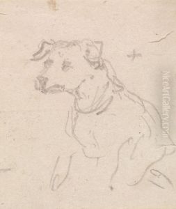 A Dog
