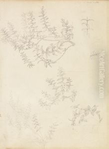 Sketches of Myrtle and a Head Crowned with Myrtle