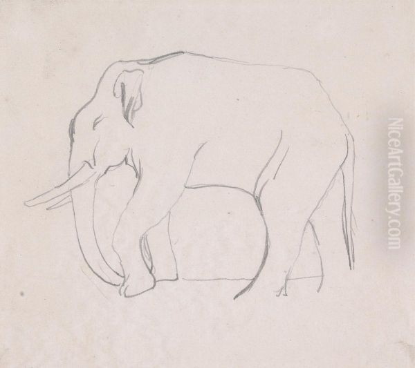 An Elephant, walking to left - view 1