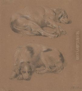 Studies of Dogs lying down