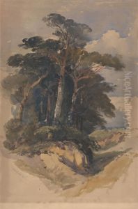 Pines on Hampstead Heath by William James Muller
