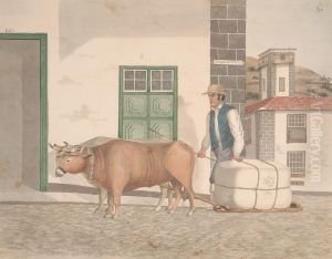 Ox-sledge for the conveyance of merchandise