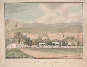 The Botanical Garden near Port Orotava, Tenerife by Alfred Diston