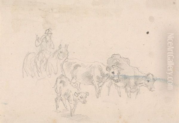 Study of cattle with a calf in foreground - view 1