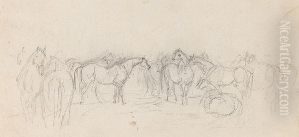 Group of horses - view 1