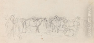 Group of horses Group of horses