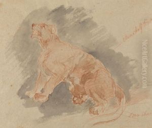 Study of a tiger by Sawrey Gilpin