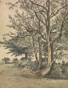 Part of Regent's Park