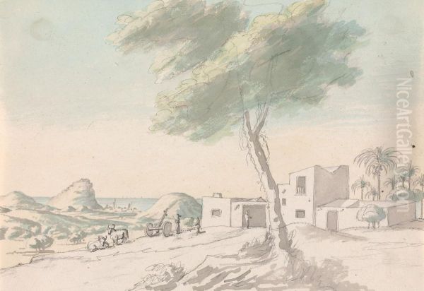 Landscape, With view of coast and Palm trees in the Distance - view 1
