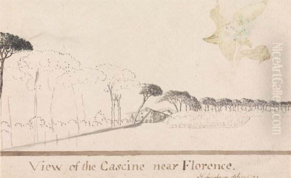 View of the Cascine Near Florence - view 1