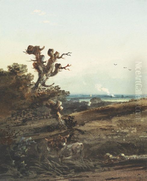 Two Donkeys in a Landscape - view 1