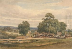 Emerey Down near Lyndhurst, New Forest, Hants