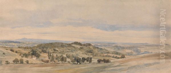 Merrow Downs, Surrey - view 1