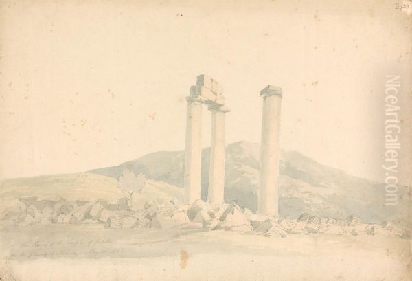 The Ruins of the Temple of Jupiter in the Plains of Nemea - view 1