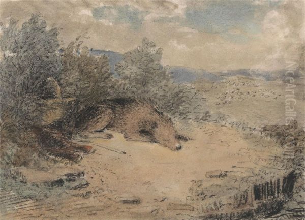 Sheepdog Asleep in a Landscape - view 1
