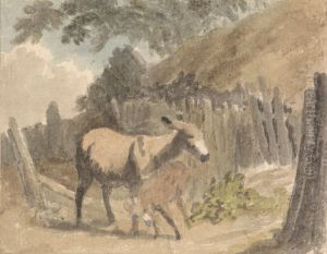 A Donkey and Foal by Robert Hills
