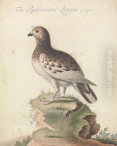Ptarmigan