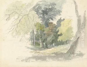 A Woodland Glade by Robert Hills