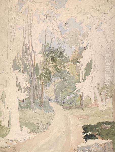 A Road Through a Wood - view 1
