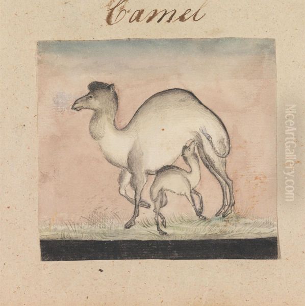 Mother Camel and her Calf - view 1