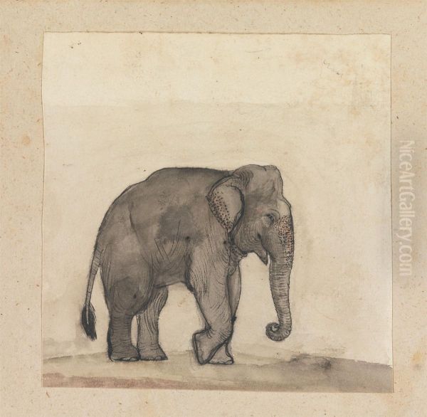 Elephant - view 1