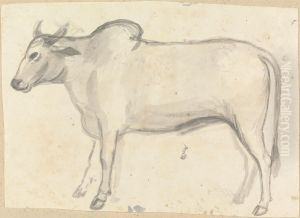 An Ox