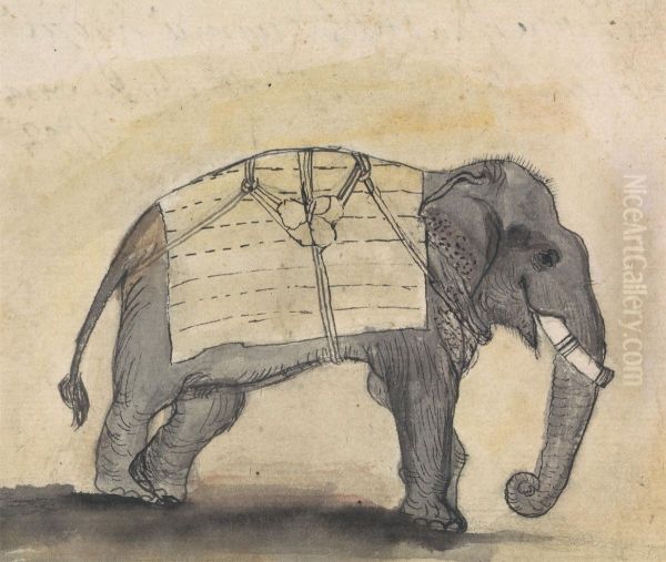 Elephant - view 1