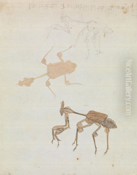 Praying Mantis - view 1