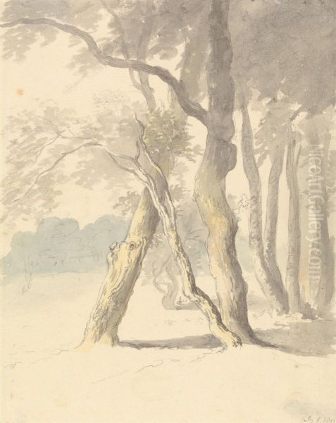 Woodland Study - view 1