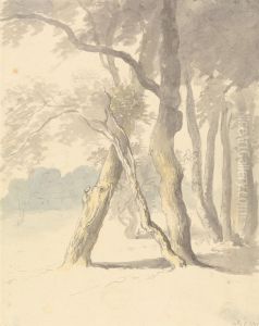 Woodland Study