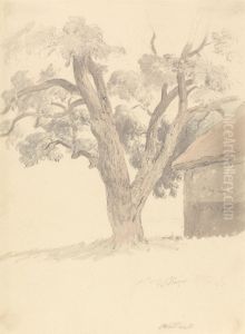 Walnut Tree by Robert Hills