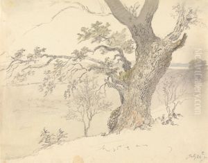 An Oak in Englefield Park by Robert Hills