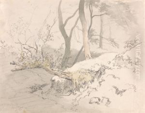 Woodland Shadow by Robert Hills