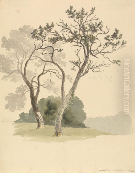 Orchard Trees at Under River near Knole - view 1