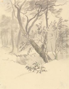 The Wood