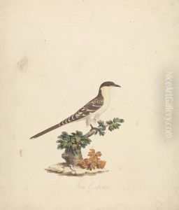 Bee Cuckoo by James Bruce
