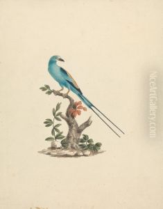 Coracias abyssinicus (Abyssinian Roller) Coracias abyssinicus (Abyssinian Roller)