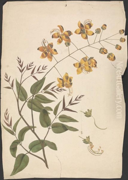 finished drawing of leafy shoot with flowers - view 1