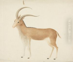 Unidentified Ungulate by James Bruce